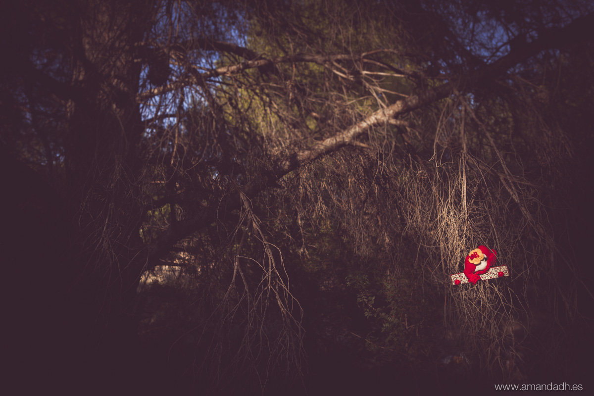 el bosque bocetos-9476