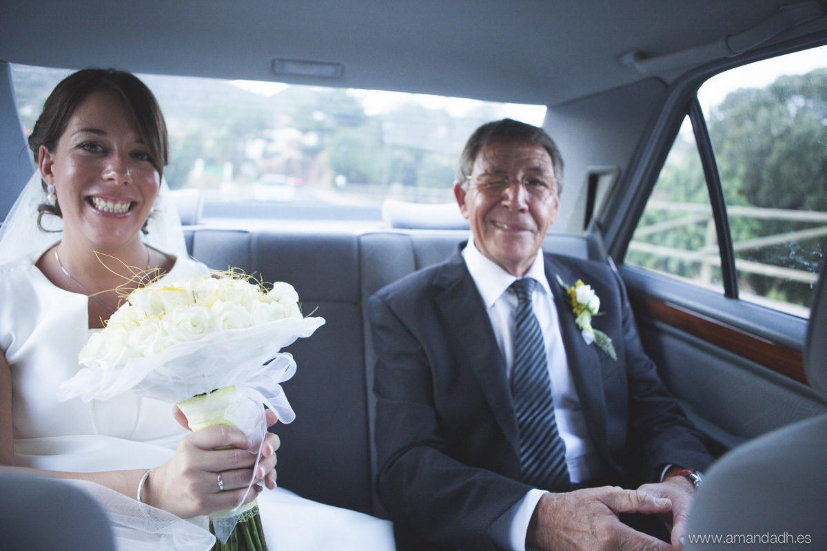 paloma y galindo -1768